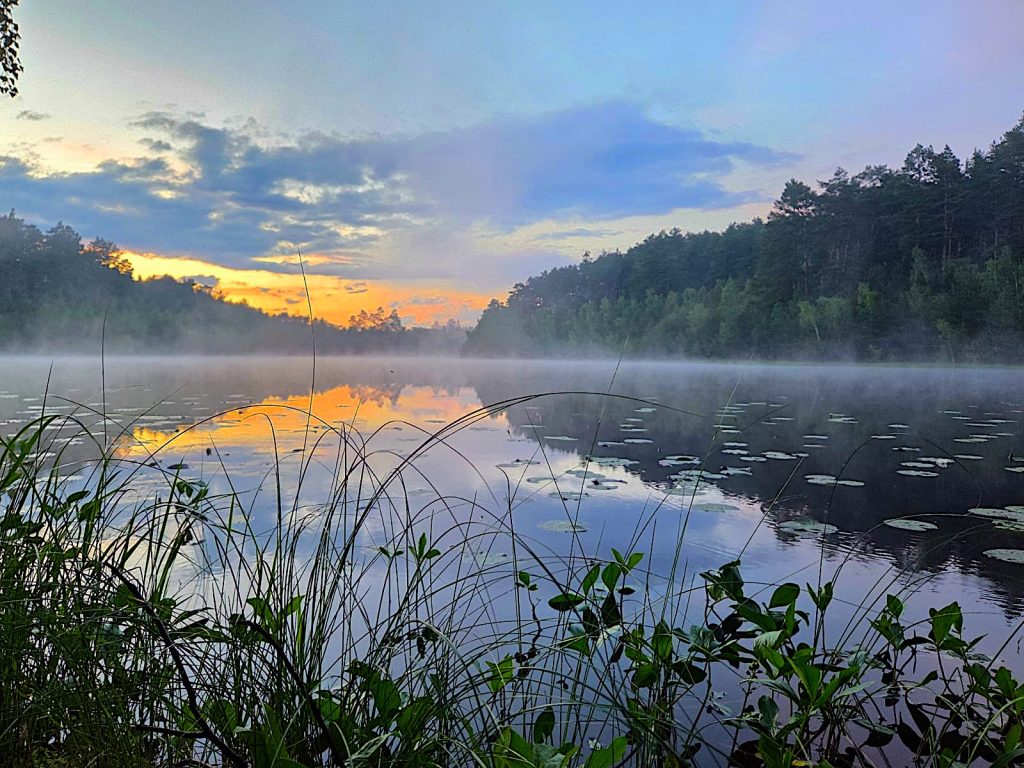 Brodnicki Landschaftspark bei Sonnenaufgang am See